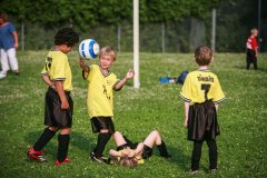 TimBitsSoccer_VGarrison_20080717-0947